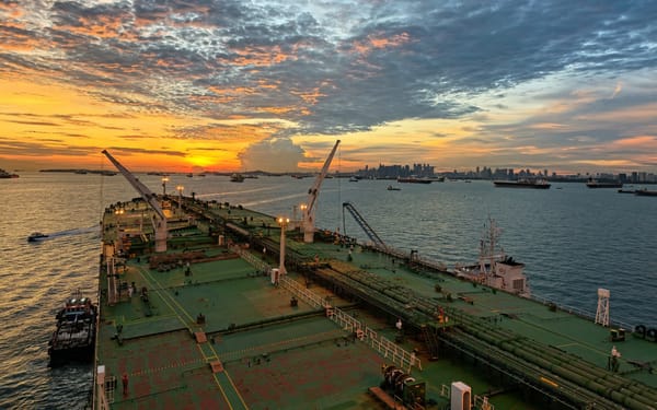 Castigados por una vulnerabilidad que no elegimos